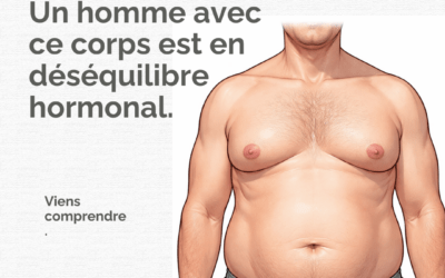 Déséquilibre hormonal chez l’homme : ventre, œstrogènes et inflammation