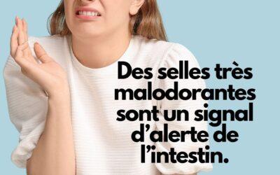 Selles malodorantes : Que révèle l’odeur de vos selles sur votre santé intestinale ?