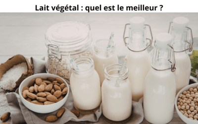 Lait végétal : quel est le meilleur ?