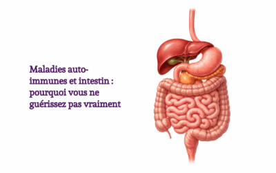 Maladies auto-immunes et intestin : pourquoi vous ne guérissez pas vraiment