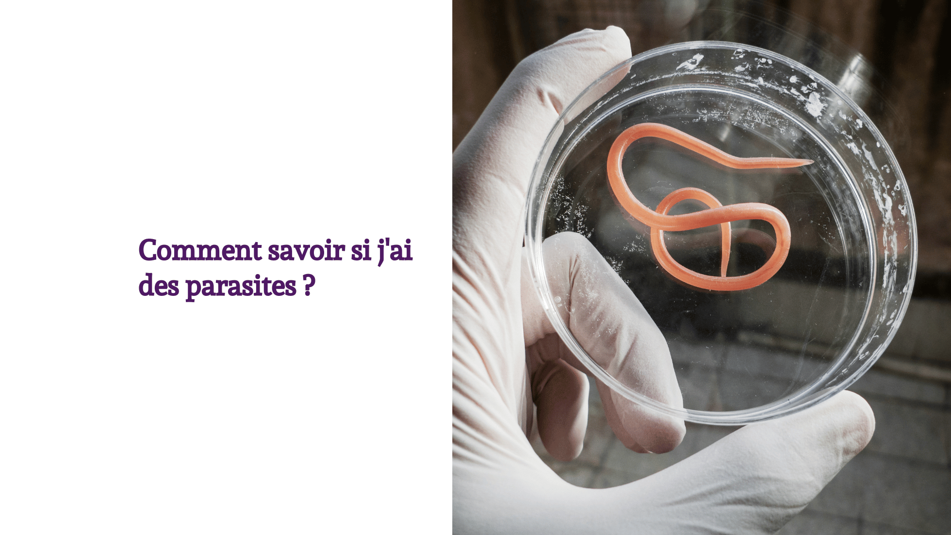 Alimentation enfant et comportement (15)
