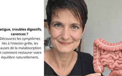 Malabsorption des nutriments : le rôle clé de l’intestin grêle