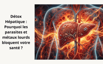 Détox Hépatique : Pourquoi les parasites et métaux lourds bloquent votre santé ?