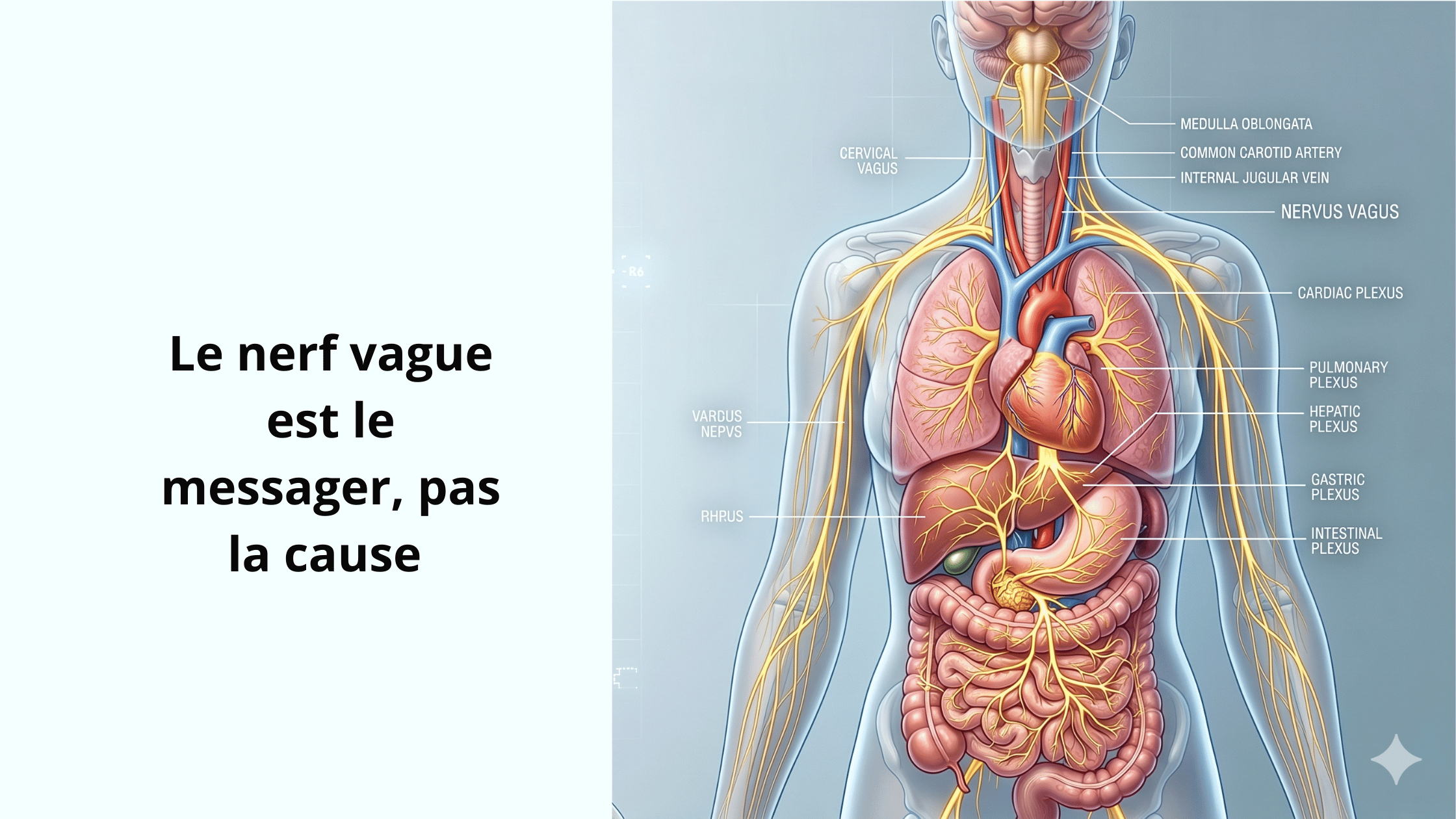 Alimentation enfant et comportement (28)