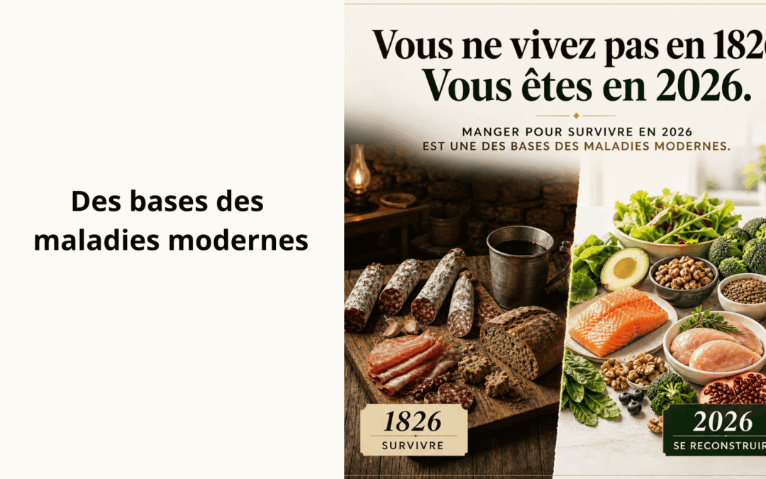 comparaison entre alimentation transformée française et vraie nourriture naturelle.