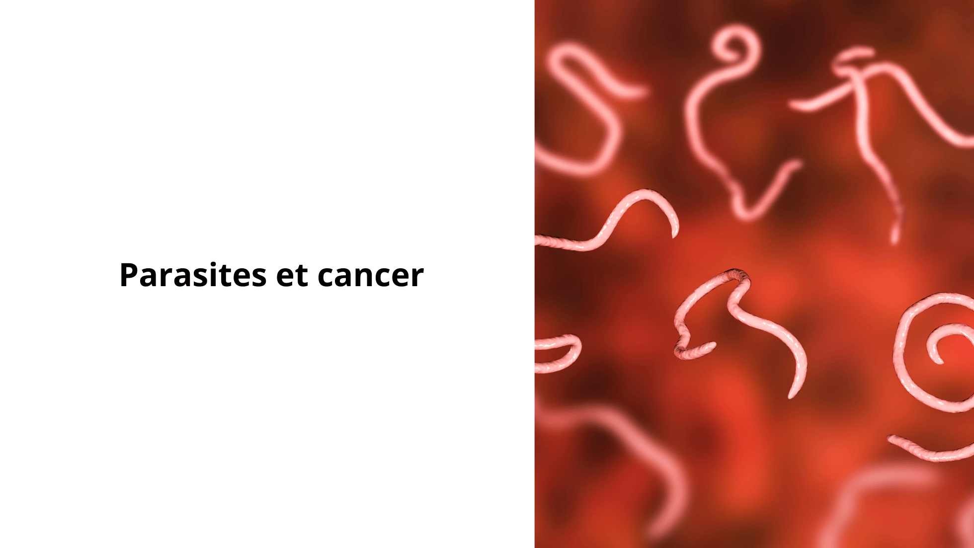 Alimentation enfant et comportement (33)