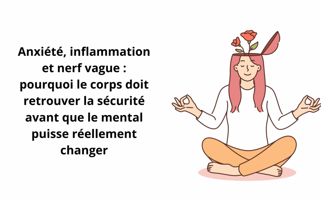 Anxiété, inflammation et nerf vague : comprendre le lien entre le corps et le mental