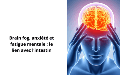 Brain fog, anxiété et fatigue mentale : le lien avec l’intestin