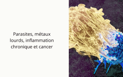 Parasites, métaux lourds, inflammation chronique et cancer : comprendre le terrain biologique de la maladie