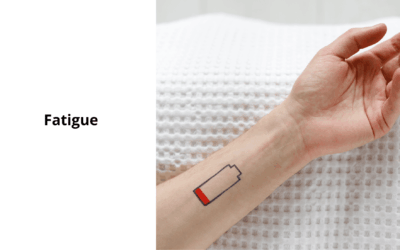 Quelle est la meilleure alimentation anti-fatigue ?