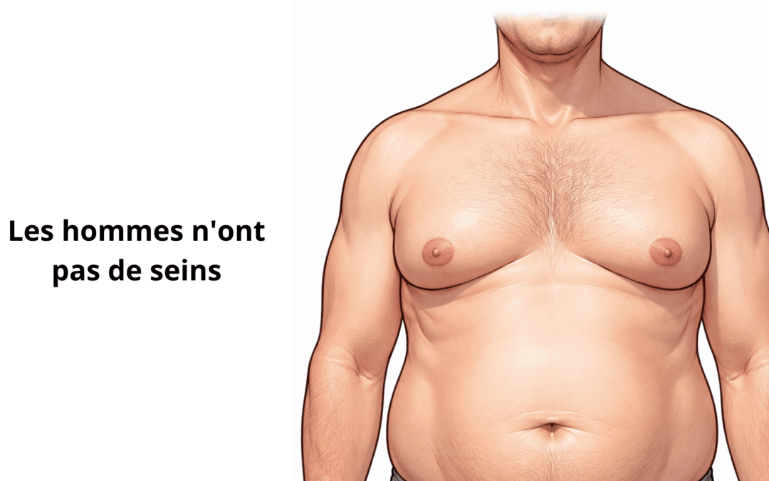 Les hommes n&rsquo;ont pas de seins : Comprendre l&rsquo;accumulation de graisse pectorale masculine