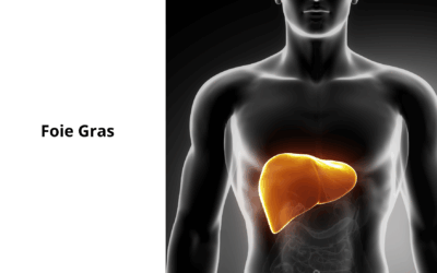 Le Point Aveugle de la Stéatose Hépatique (Foie Gras)