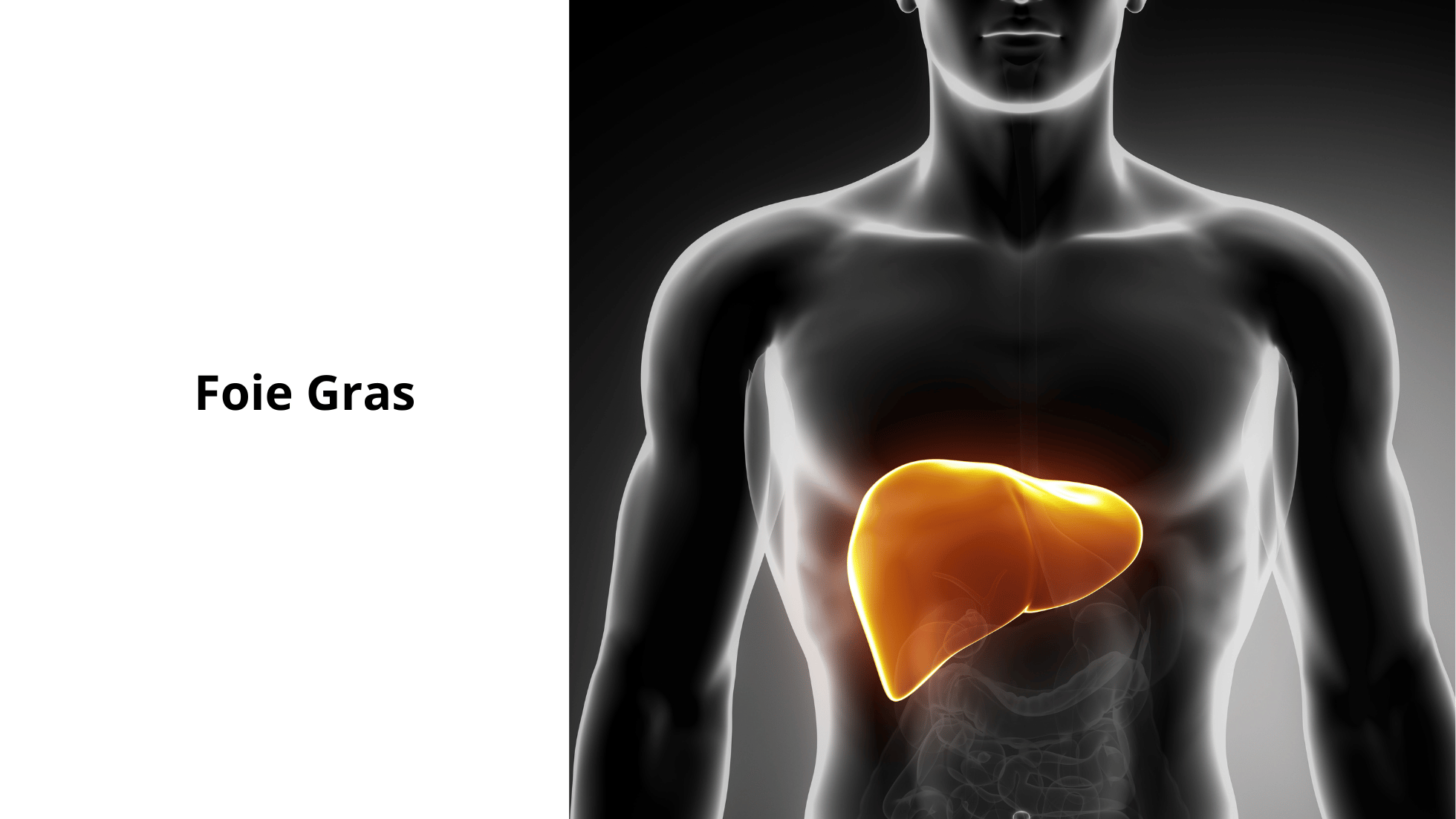 Le Point Aveugle de la Stéatose Hépatique (Foie Gras) petitdejeuner (7)