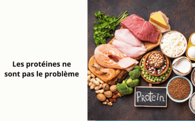 La mauvaise digestion des protéines