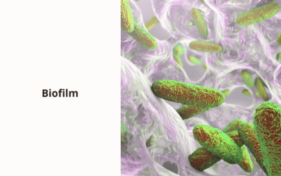 Biofilm : ce qui peut se cacher derrière les candidoses, cystites et infections qui reviennent